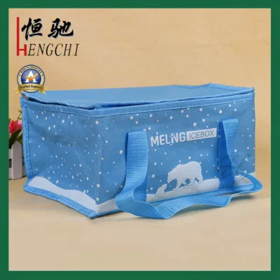Insulated Outdoor Picnic Ice Lunch Cooler Bags for Cans and Food
